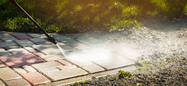 Best Sidewalk and Walkway Cleaning  in South Venice, FL